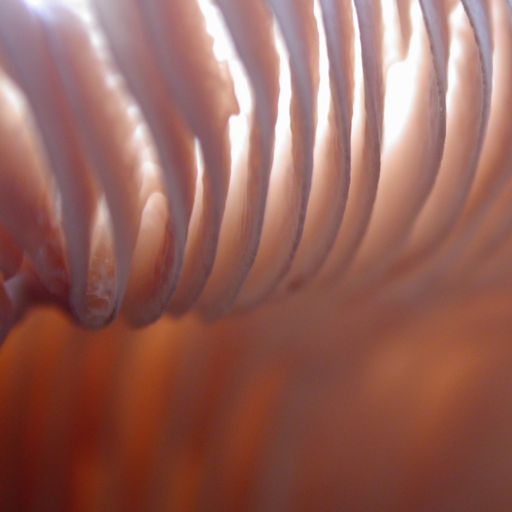 Wave of Enlightenment