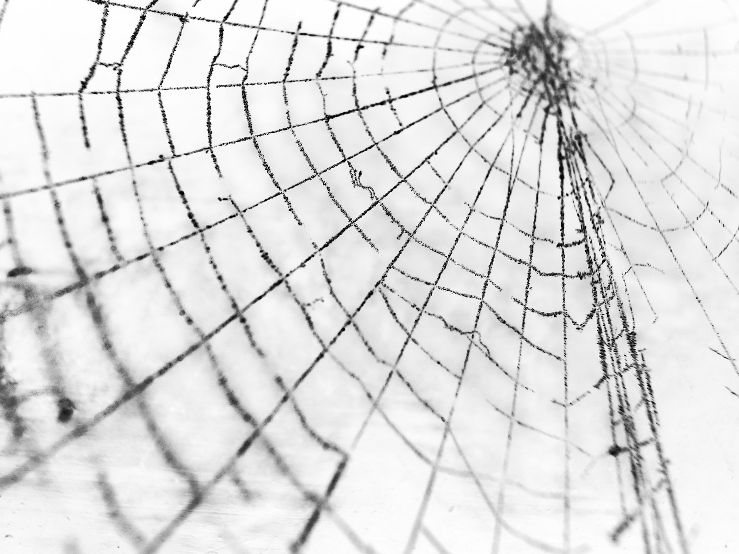 greatheightsonmyfluffysurfaceenergy