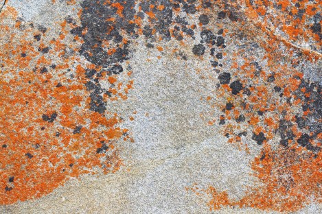 let me bend my parallel