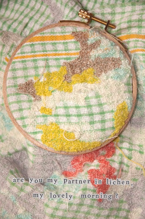 Are you my partner in Lichen, my lovely Morning?