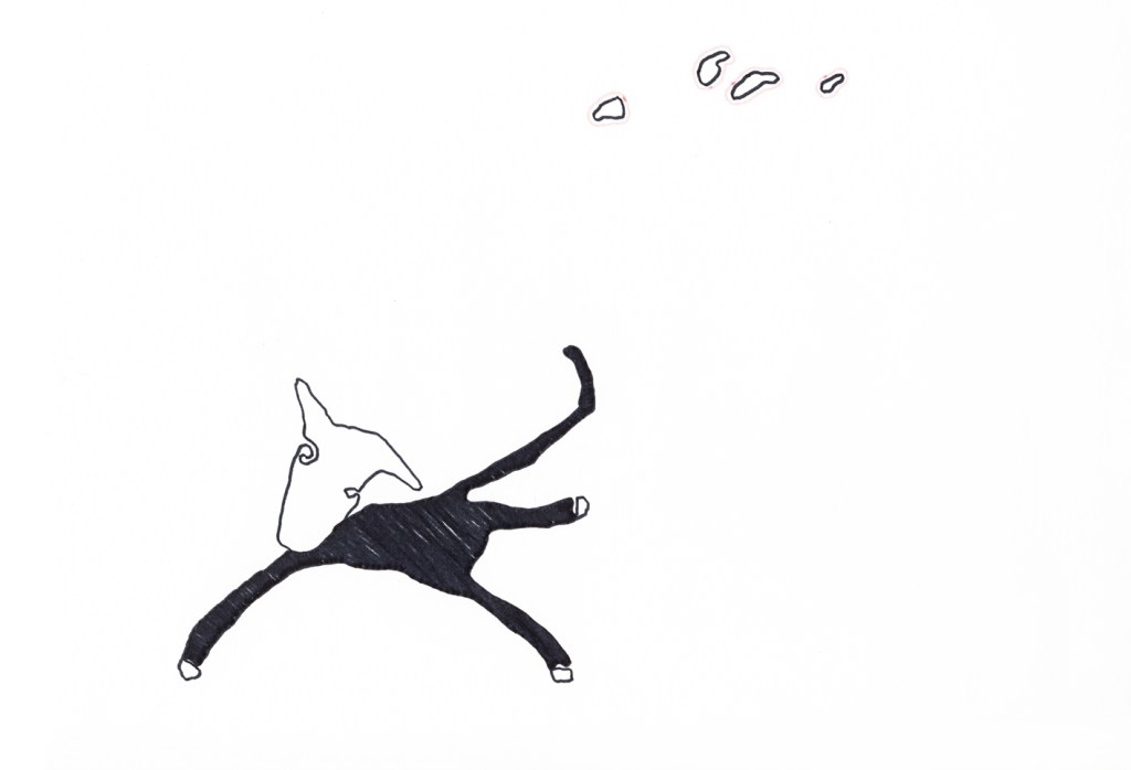 doggy falling from the sky