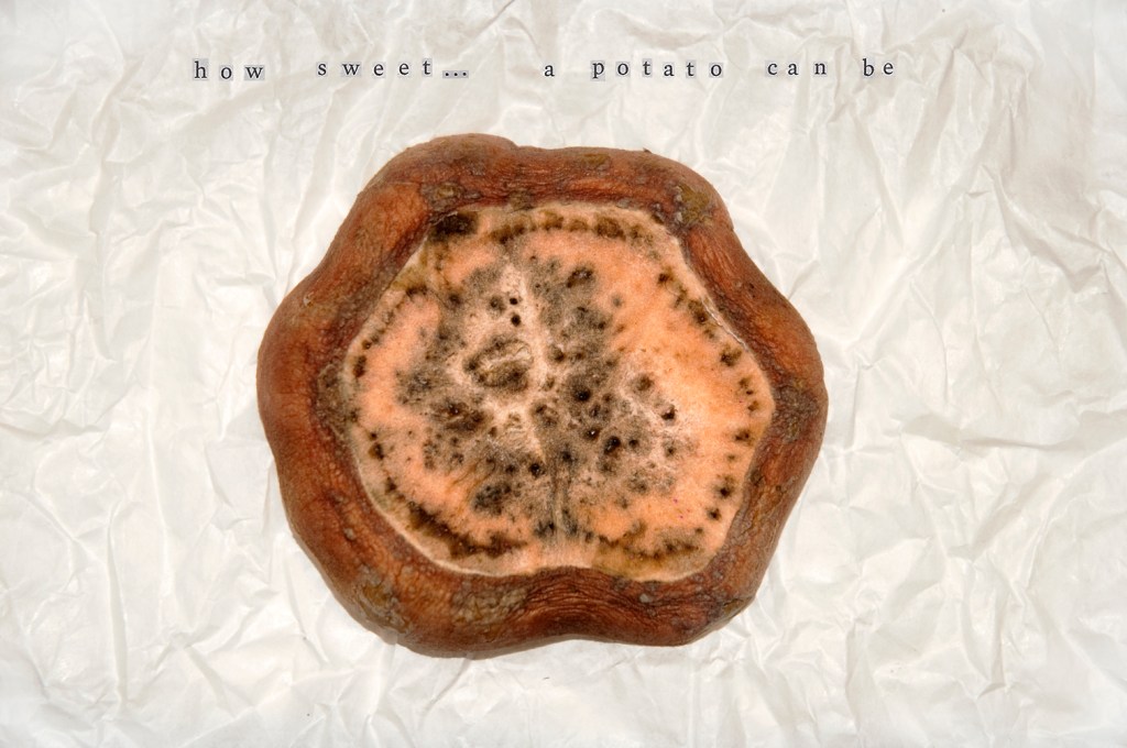 how sweet a potato can be