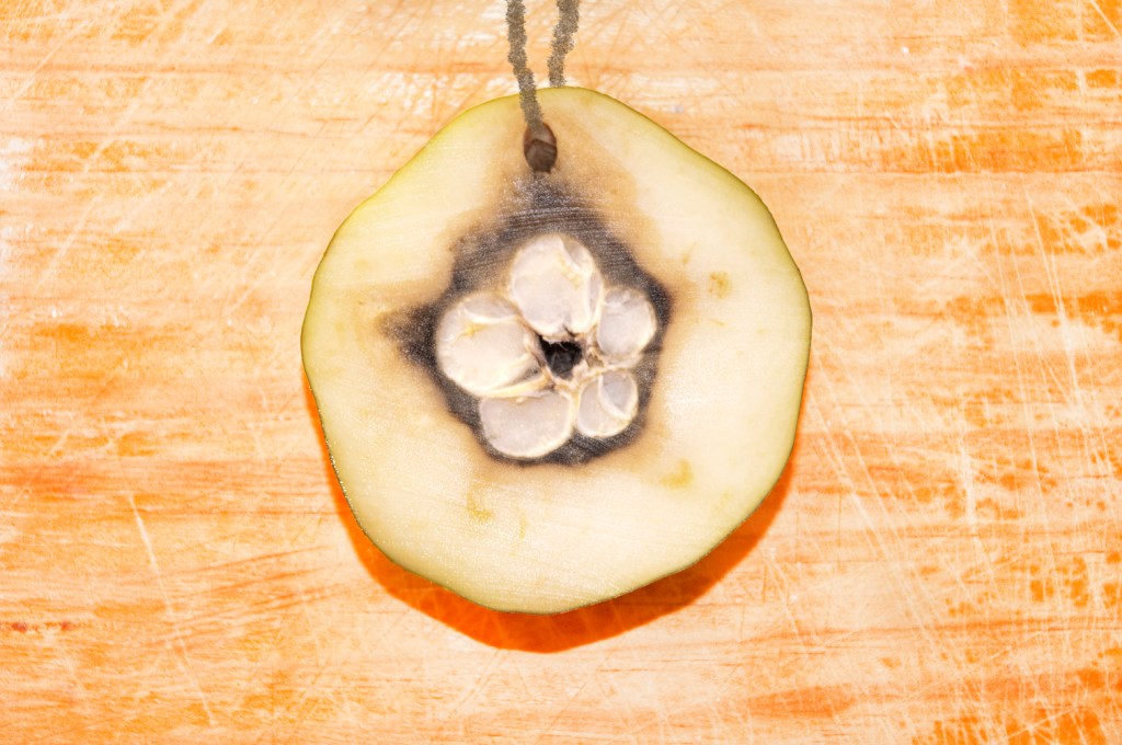 the heart of a papaya pendant