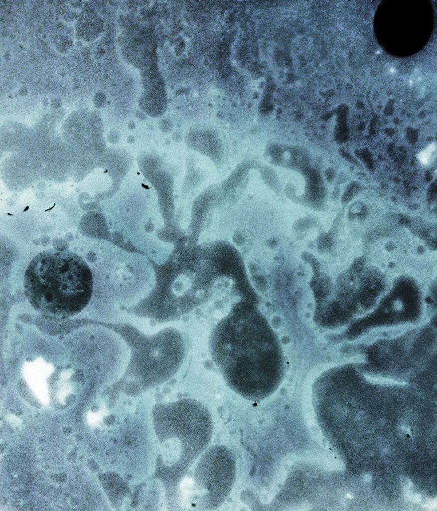 when you discover their hiddenworlds