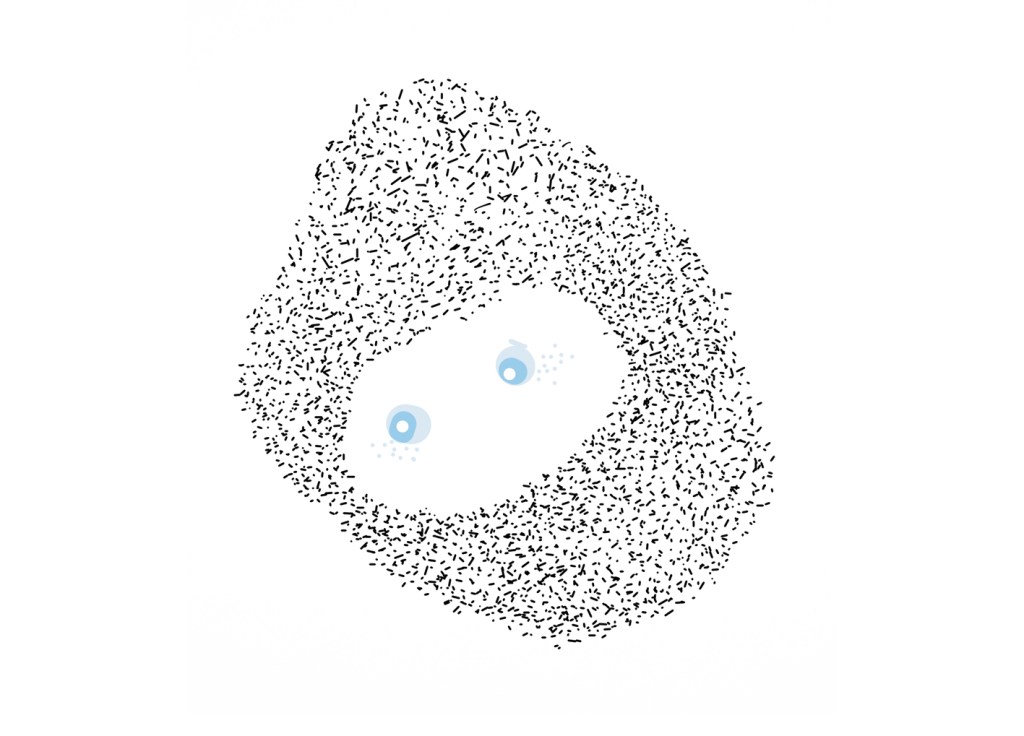 hagelslagman is watching you