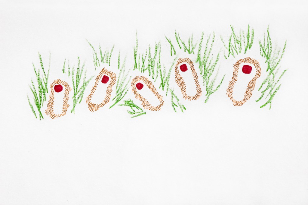 nail polish toe&nbsp;creatures