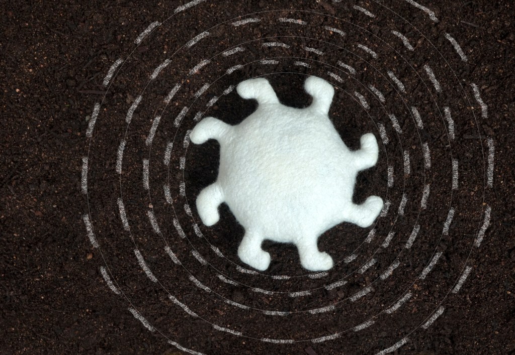 the spinning pilgrim caterpillar