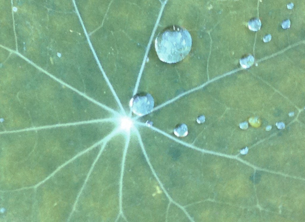 having a breakthrough