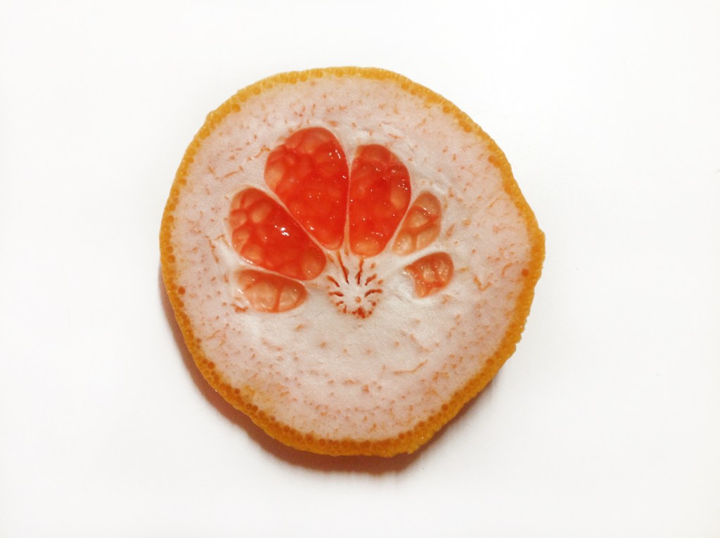 don't you just love nature?