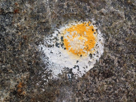 memories of egg in space