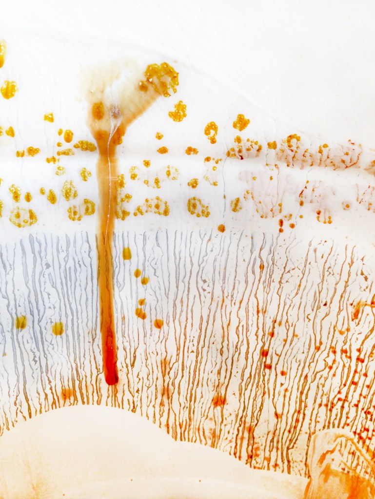 sticky steps and white traces