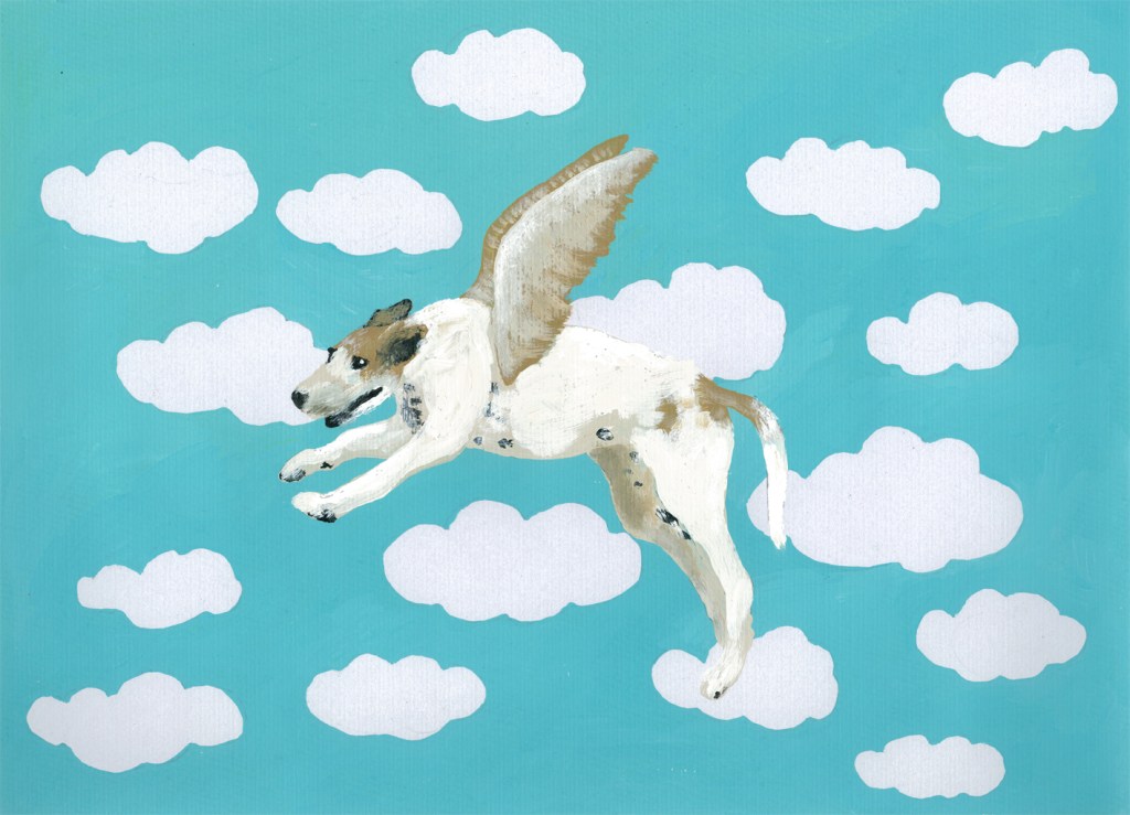 Angel Dog