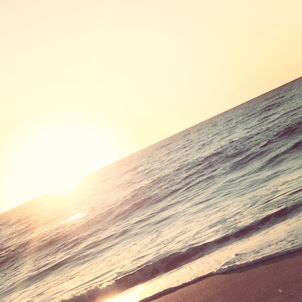 flying free like a seagull above the waves