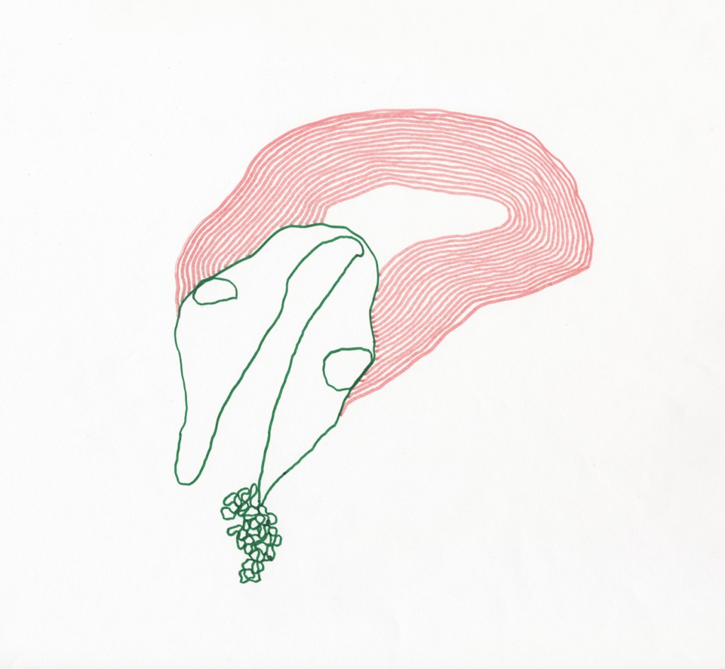 it is not me with the brain damage!