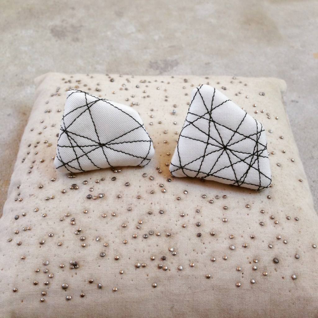 looking through the eyes of spirit cat