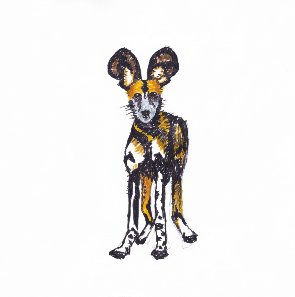 Painted Dog I