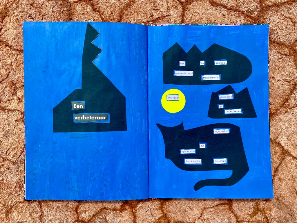 Een Verbeteraar Misschien